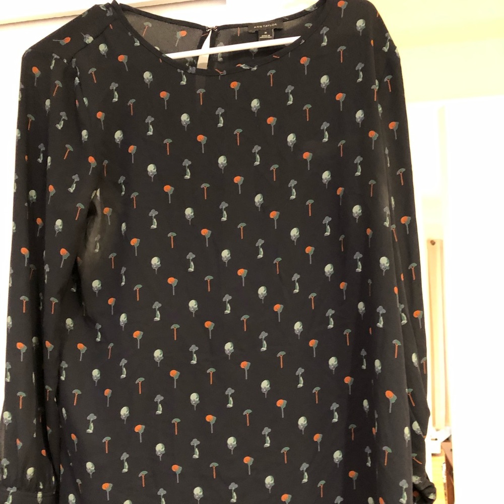 Long sleeved blouse from Ann Taylor.